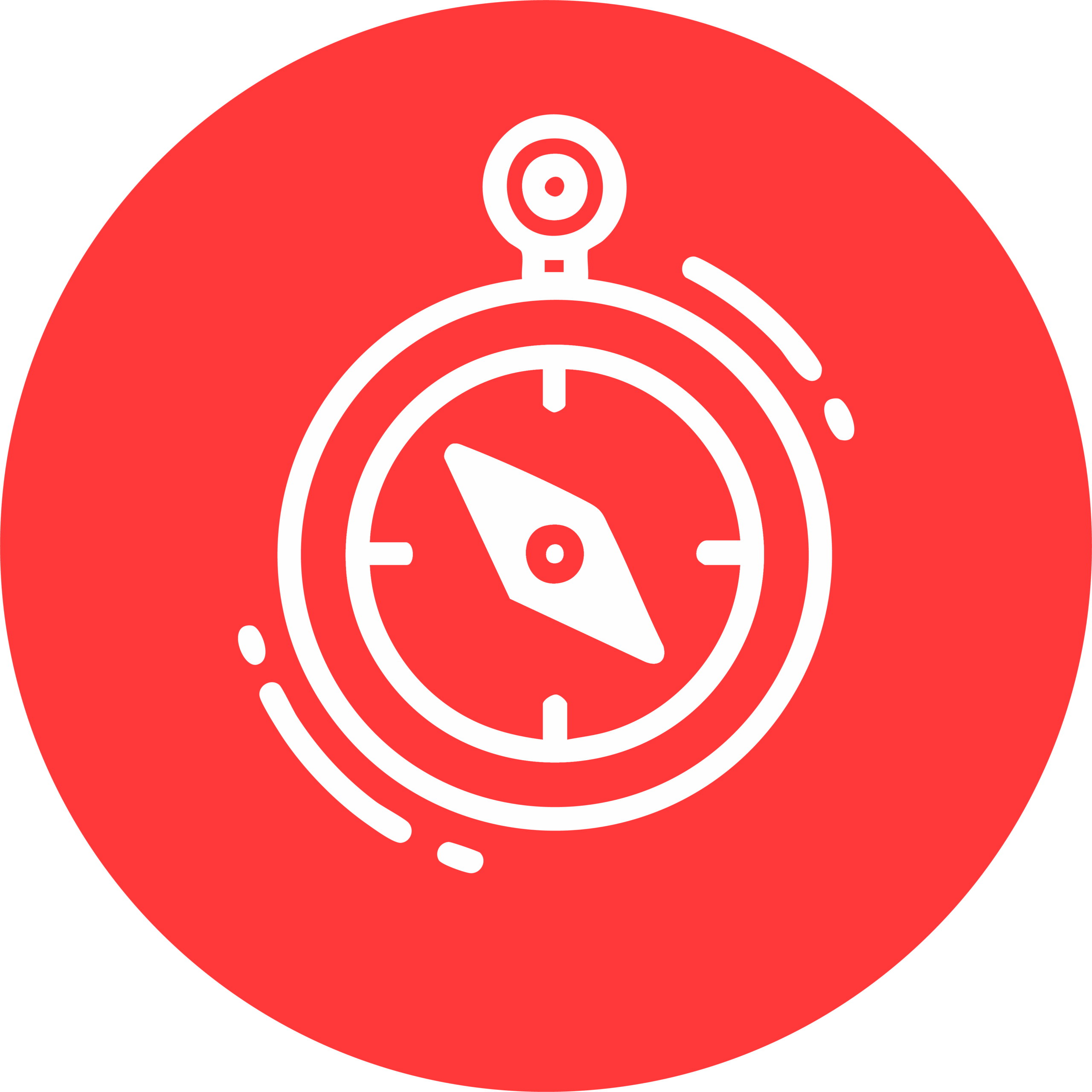 Discovery icon of real estate marketing strategy